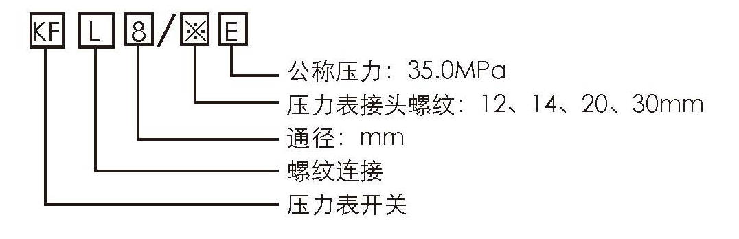 壓力表開關型號意義.jpg